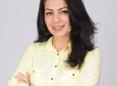 MƏHSƏTİ HÜSEYNOVA: Bu içkilər 25 yaşadək şəxslərə QADAĞAN EDİLƏ BİLƏR!